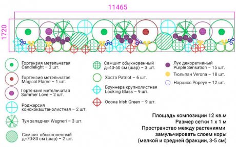 Что посадить около забора со стороны улицы?